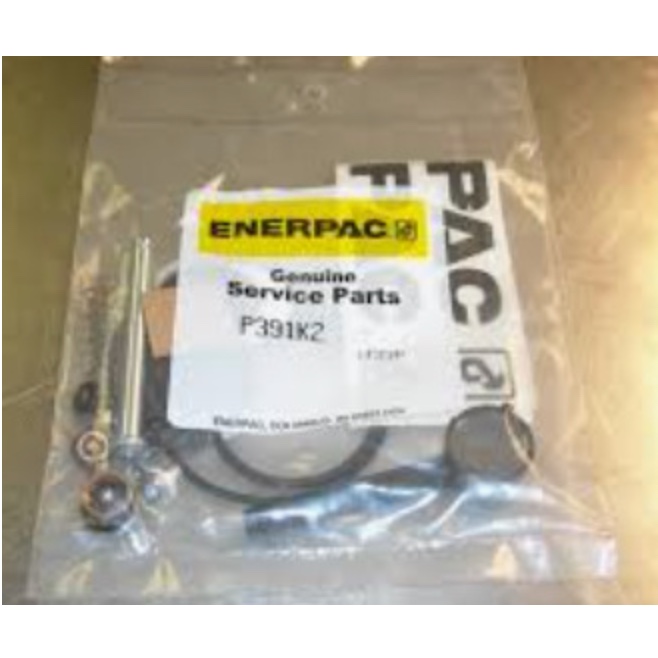 Bộ seal làm kín ENERPAC P391K2