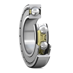 [EIDV02130] Vòng bi E2.6303-2Z/C3