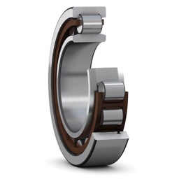 [EIDV02617] Vòng bi NU 204 ECP