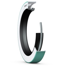 [EIDV00251] Phớt 20005 (CRWHA1 R)